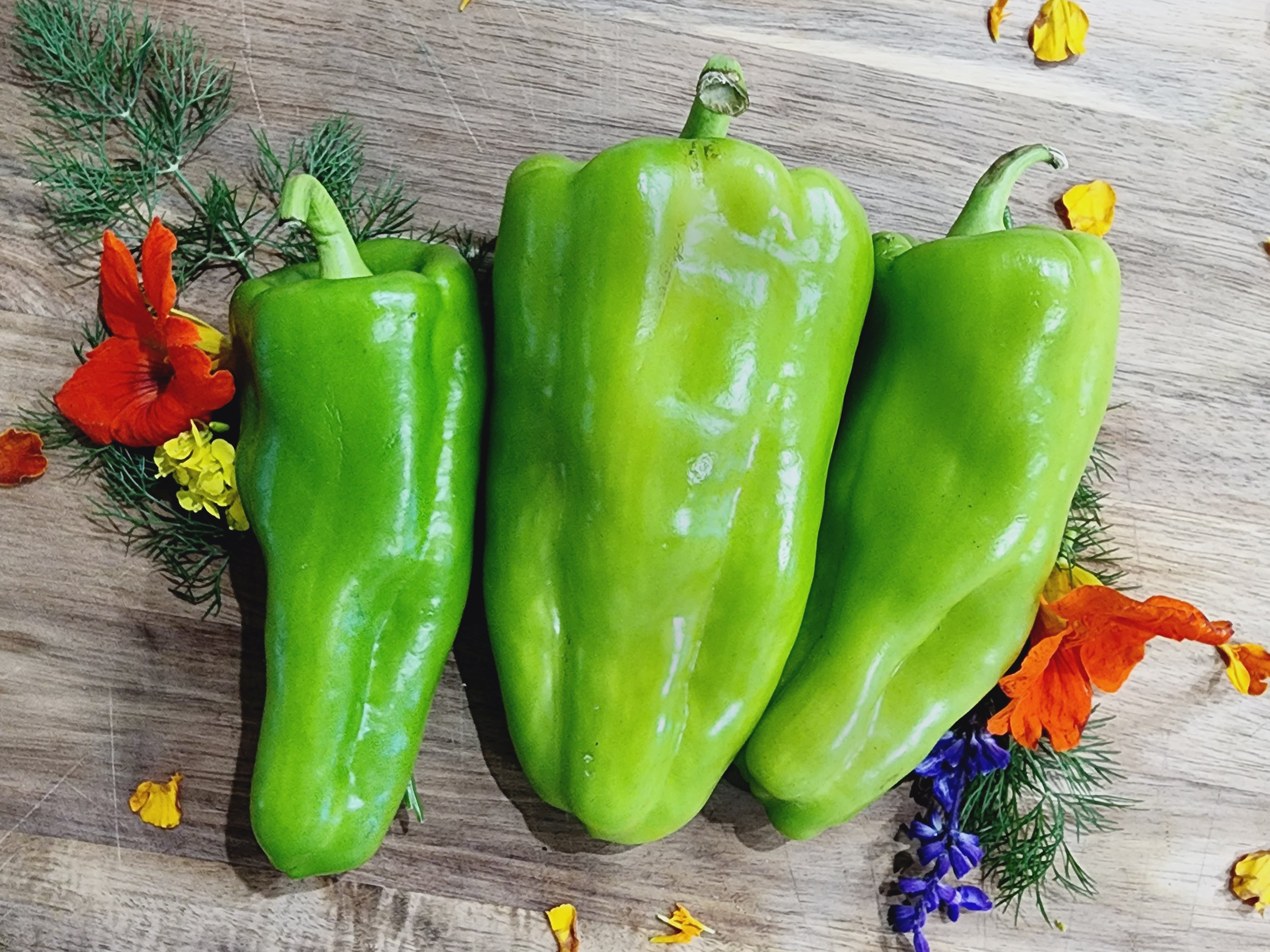 What Are Cubanelle Peppers?