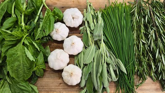 How To Make Two Different Herb Salt Recipes: Basil Herb Salt & Garlic Herb Salts