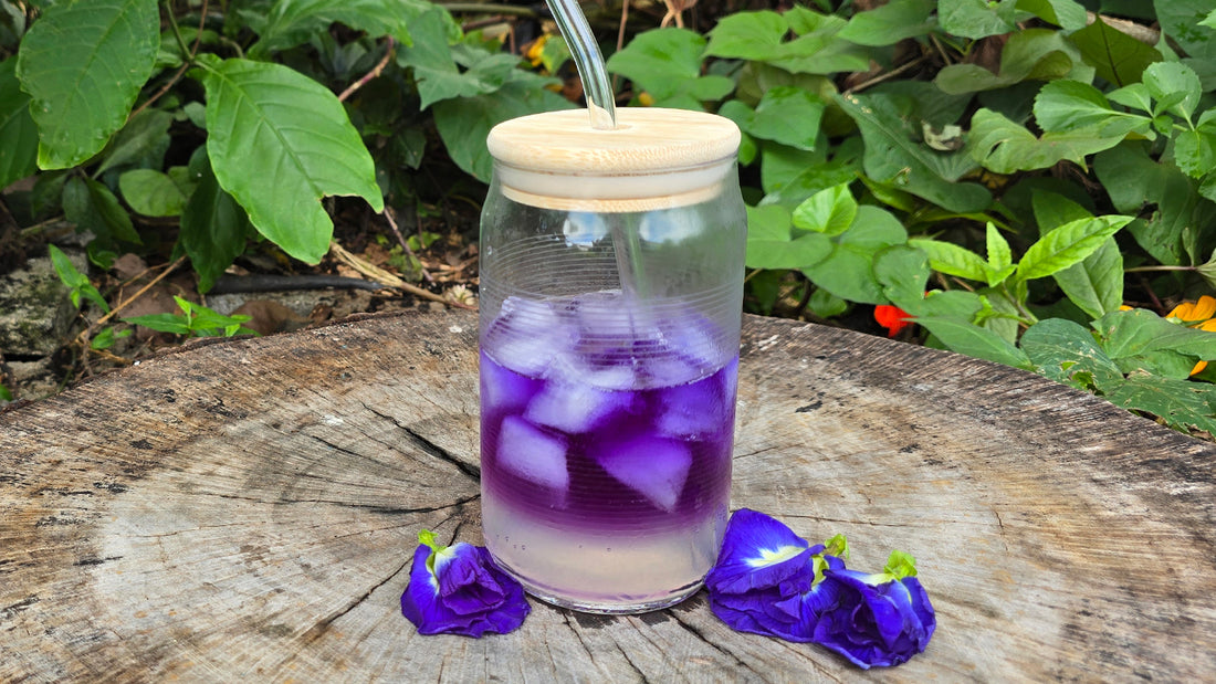 Blue Japanese Lemon Sour Alcoholic Drink Recipe Using Thai Blue Butterfly Pea Flowers