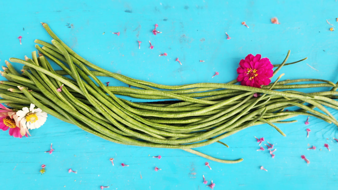 How To Grow Yard Long Beans: From Seed To Harvest