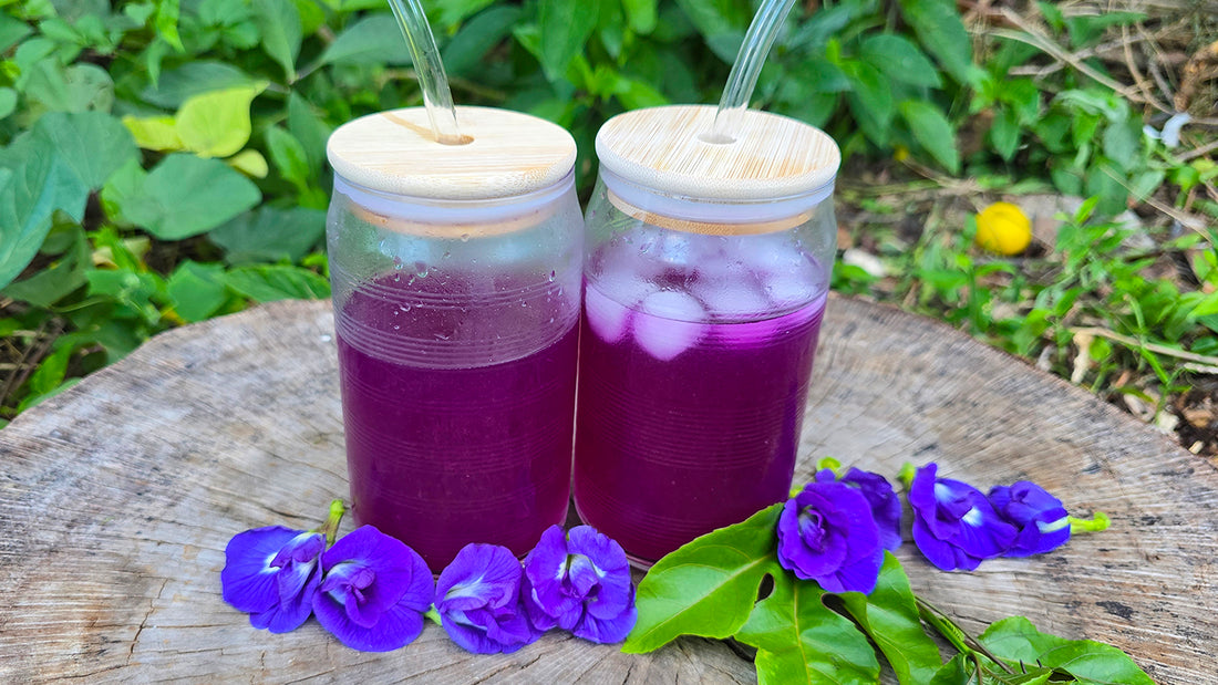 Color Changing Magic Lemonade Using Thai Blue Butterfly Pea Flowers