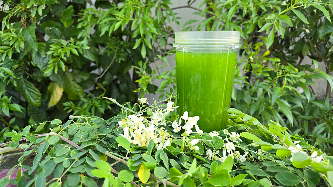 DIY Moringa Fertilizer: Transform Your Garden with This All-Natural Organic Fertilizer Recipe