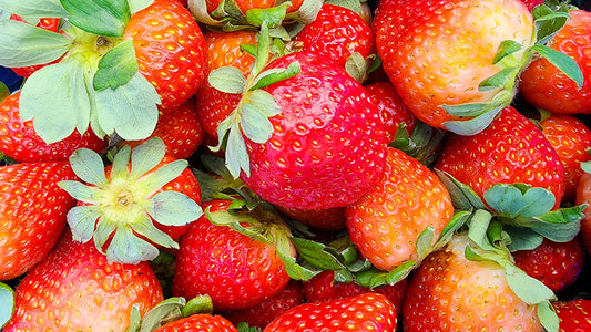 Strawberries 101: How To Grow & Plant A Ton Of Strawberries In Your Home Backyard Garden