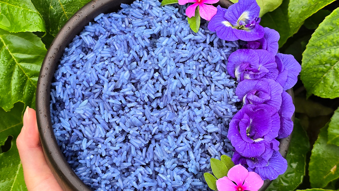 Thai Blue Rice Recipe Using Thai Blue Butterfly Pea Flowers