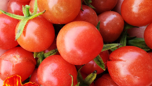 Easy Tomato Recipes