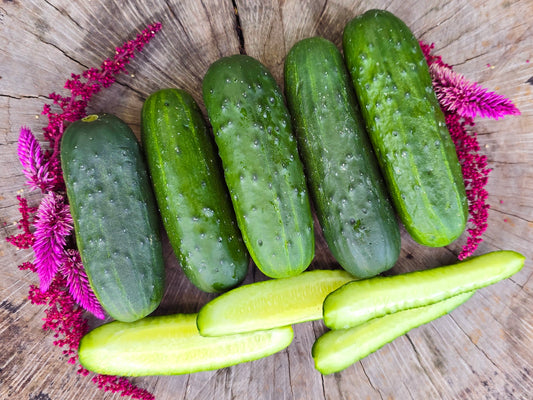 Calypso Hybrid Disease Resistant Pickling Cucumber Seeds