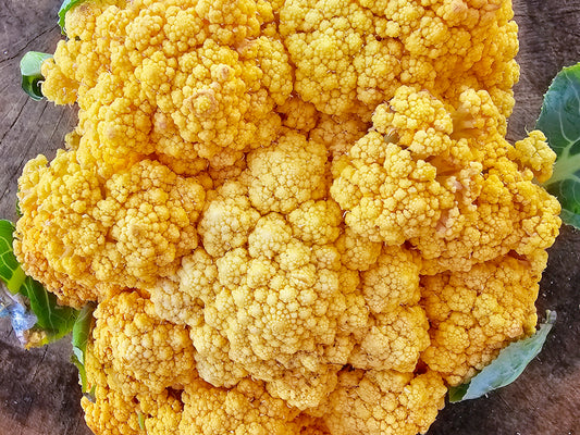 Clementine Hybrid Orange Cauliflower Seeds