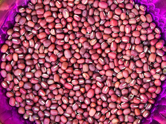 Doyou Azuki Bean Seeds