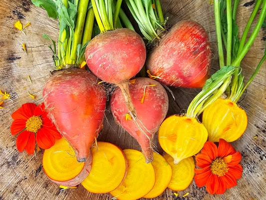 Golden Beet Seeds