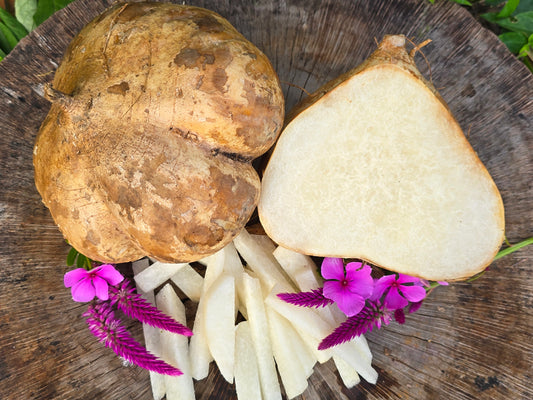 Thai Jicama Root Seeds