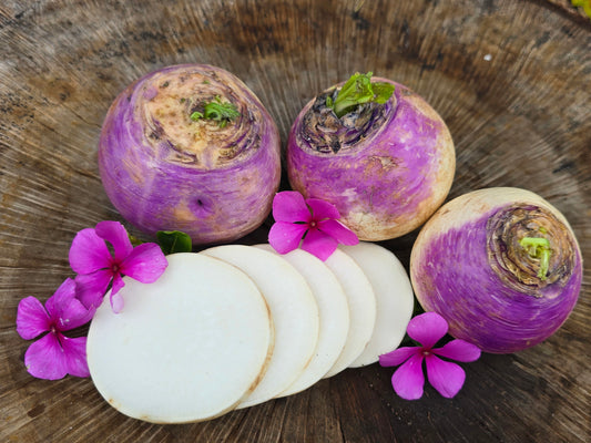 Purple Top White Globe Turnip Seeds