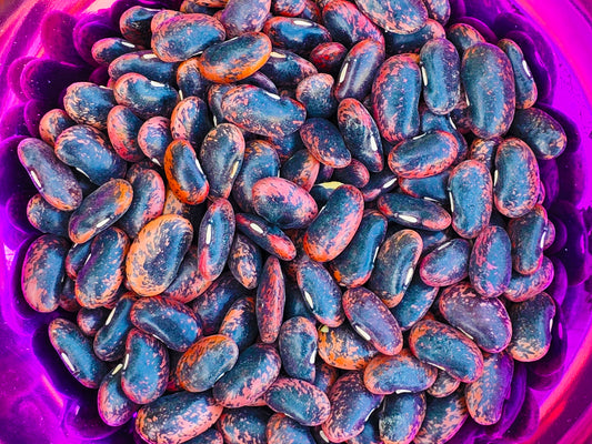 Scarlet Runner Pole Bean Seeds