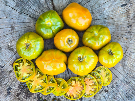 Thorburn's Terra Cotta Heirloom Tomato Seeds