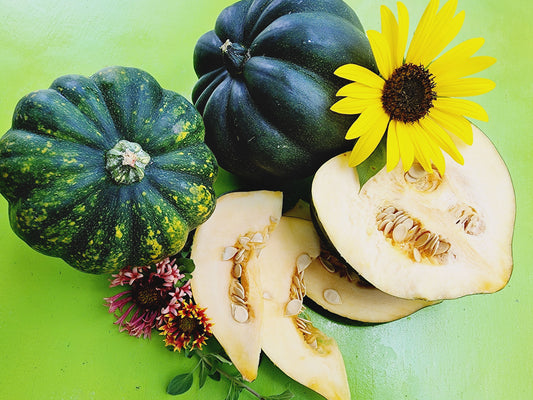 Acorn Winter Squash