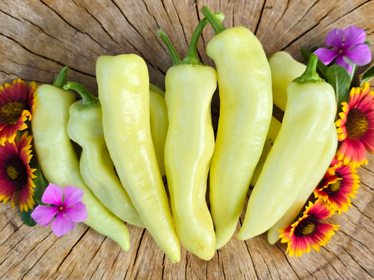 Banana Sweet Wax Peppers