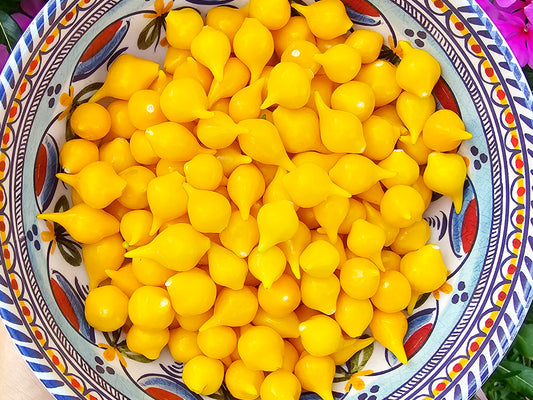 Yellow Biquinho aka Sweety Drop Sweet Pepper Seeds