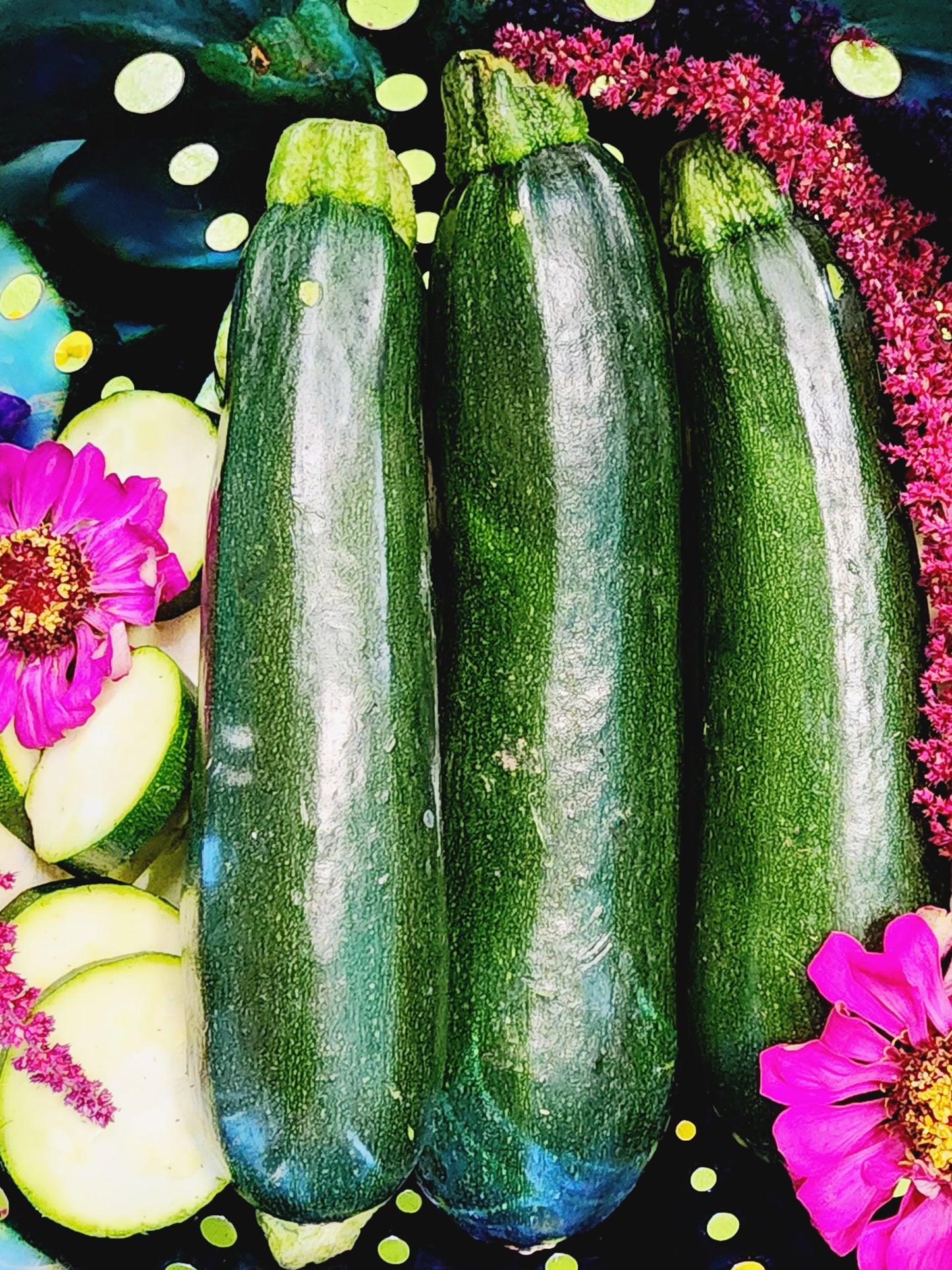 Black Beauty Zucchini