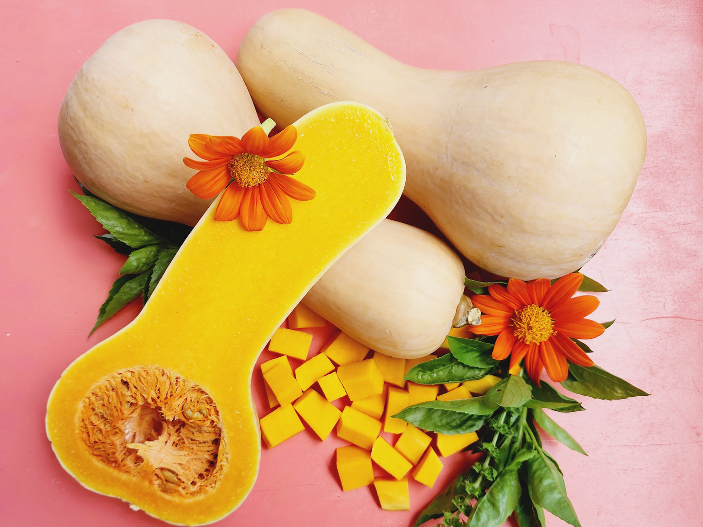 Waltham Butternut Winter Squash