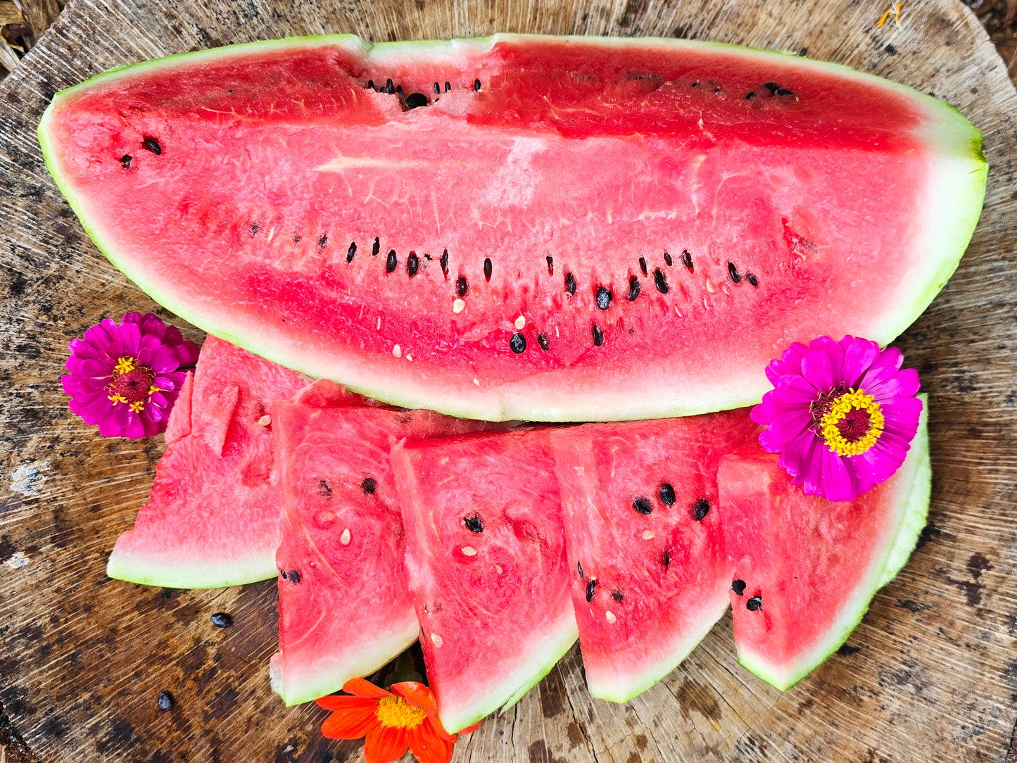 Crimson Sweet Watermelon Seeds