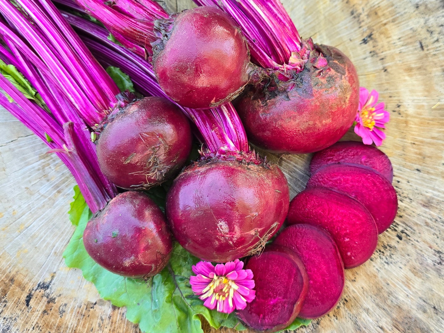 Detroit Dark Red Beet Seeds