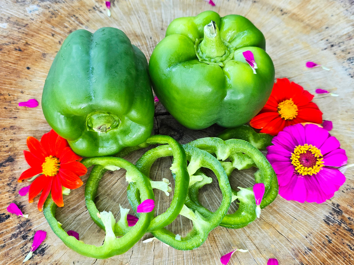 Emerald Giant Green Sweet Bell Pepper Seeds