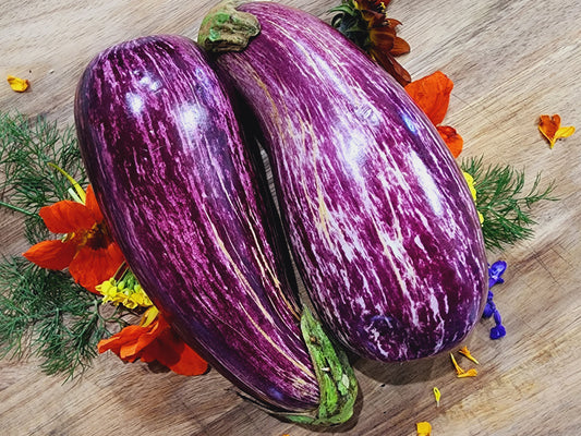 Galaxy of Stars Eggplant