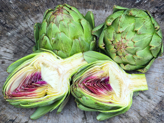 Green Globe Artichoke Garden Vegetable Seeds