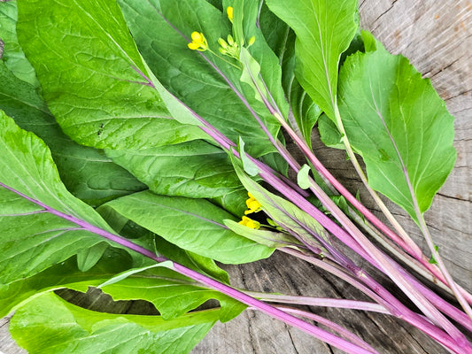 Hon Tsai Tai Flowering Purple Cabbage Seeds