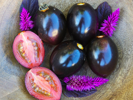 Midnight Roma Black Heirloom Tomato Seed