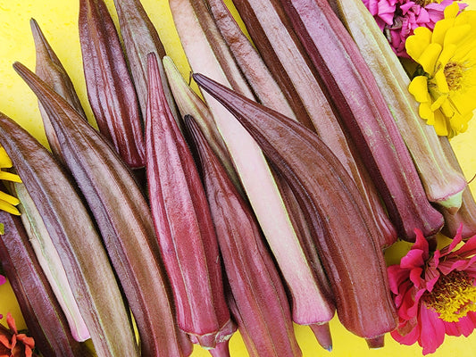 Red Burgundy Okra