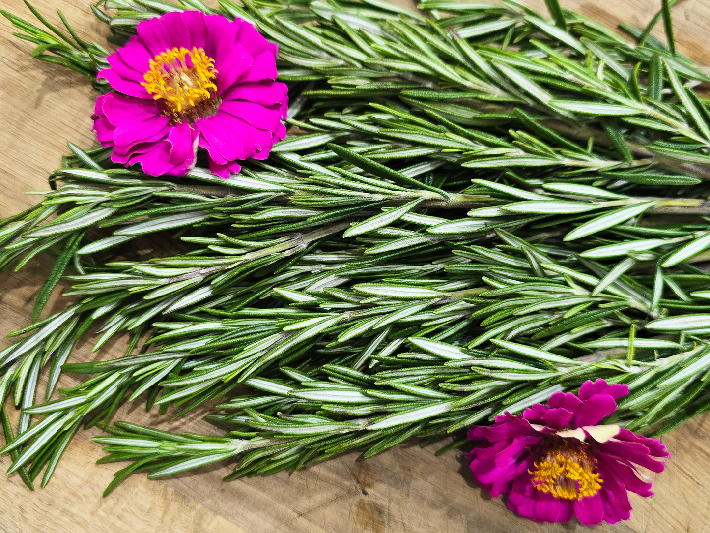 Rosemary Herb Seeds