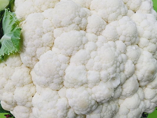 Snowball Y Improved White Cauliflower