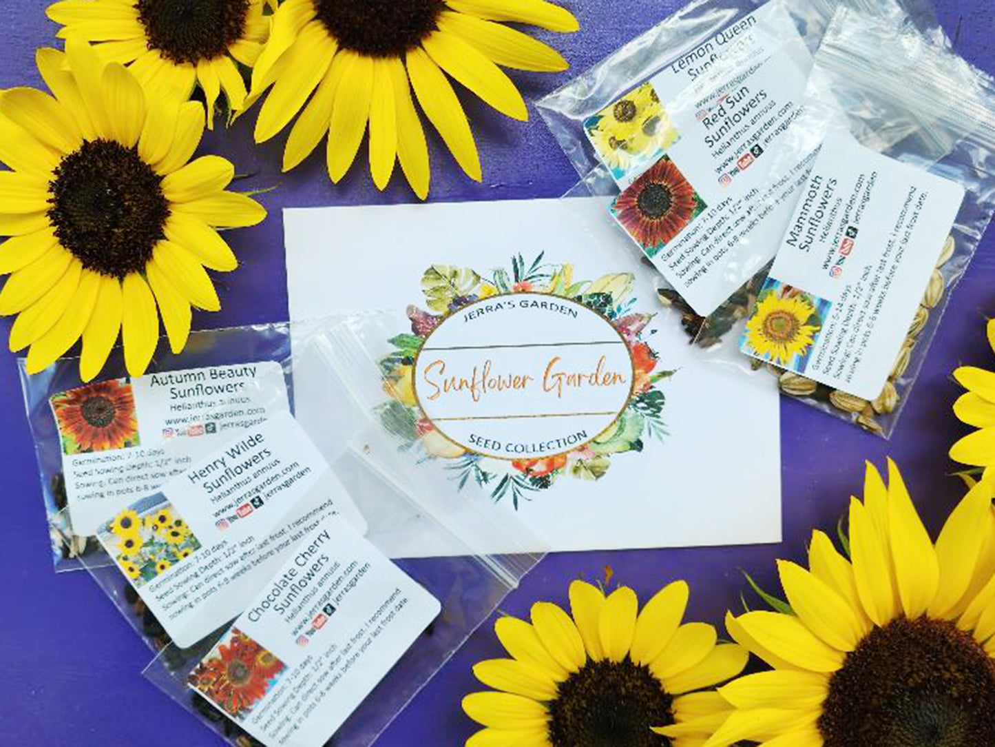 Sunflower Garden Heirloom Seed Collection Gift Set