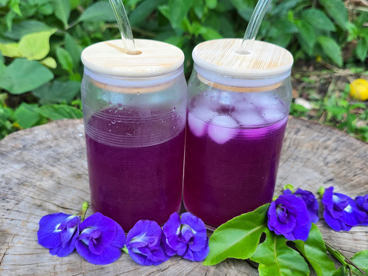 Thai Double Blue Butterfly Pea SEEDS