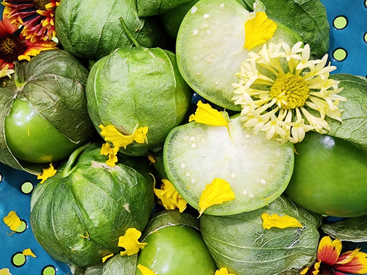 Early Green Tomatillo