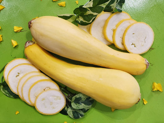 Yellow Crookneck Squash