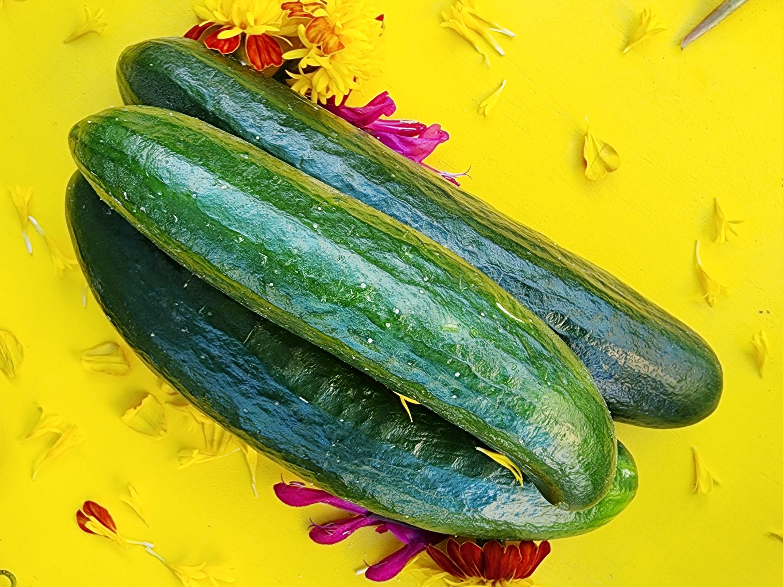 Cucumbers – Jerra's Garden