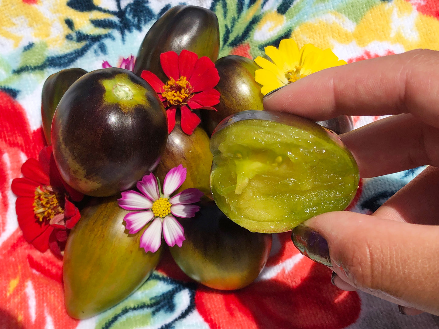 Brad's Atomic Grape Cherry Tomato