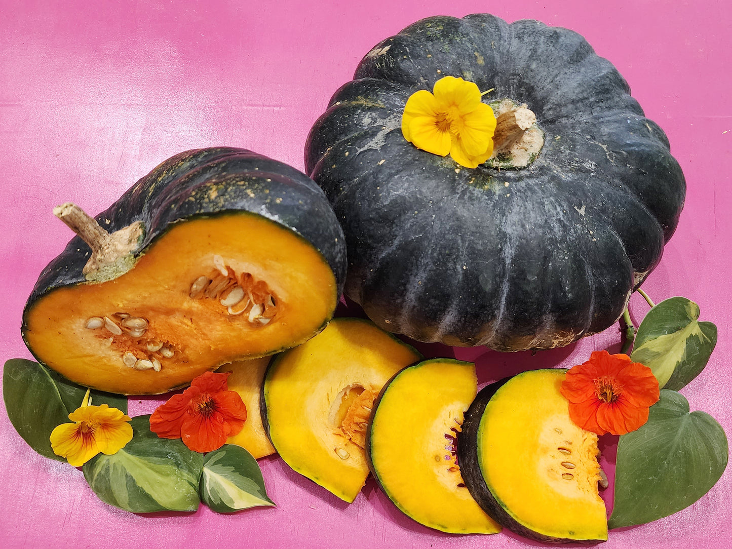 Calabaza Pumpkin Winter Squash