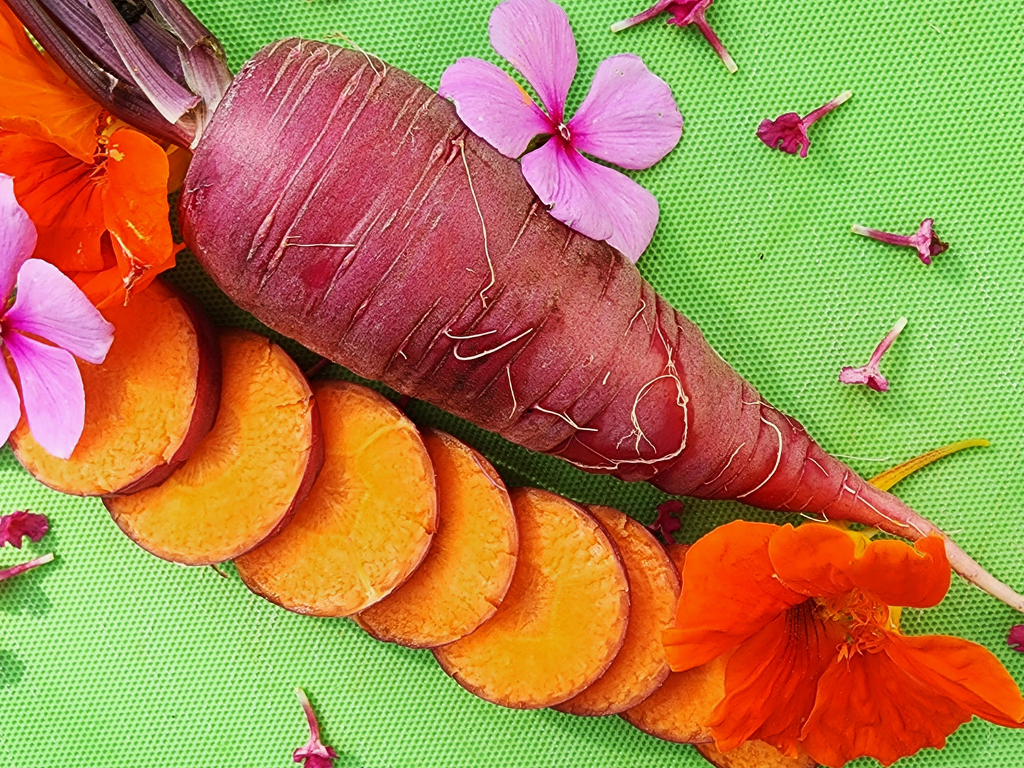 Cosmic Purple Carrot