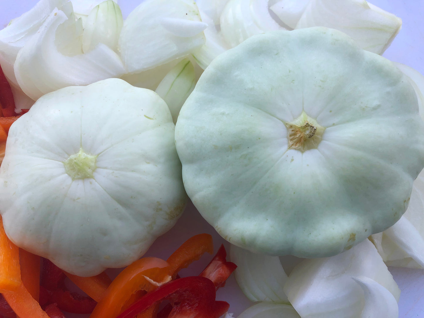 Early White Patty Pan Squash