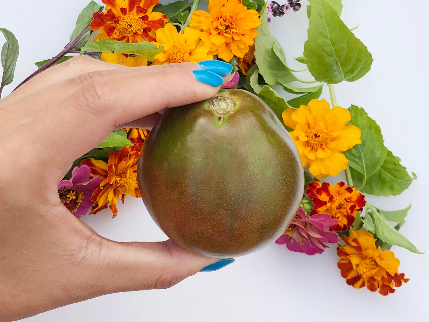 Japanese Trifele Large Pear Tomato