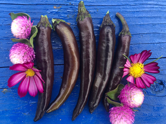 Murasaki Purple Sweet Pepper