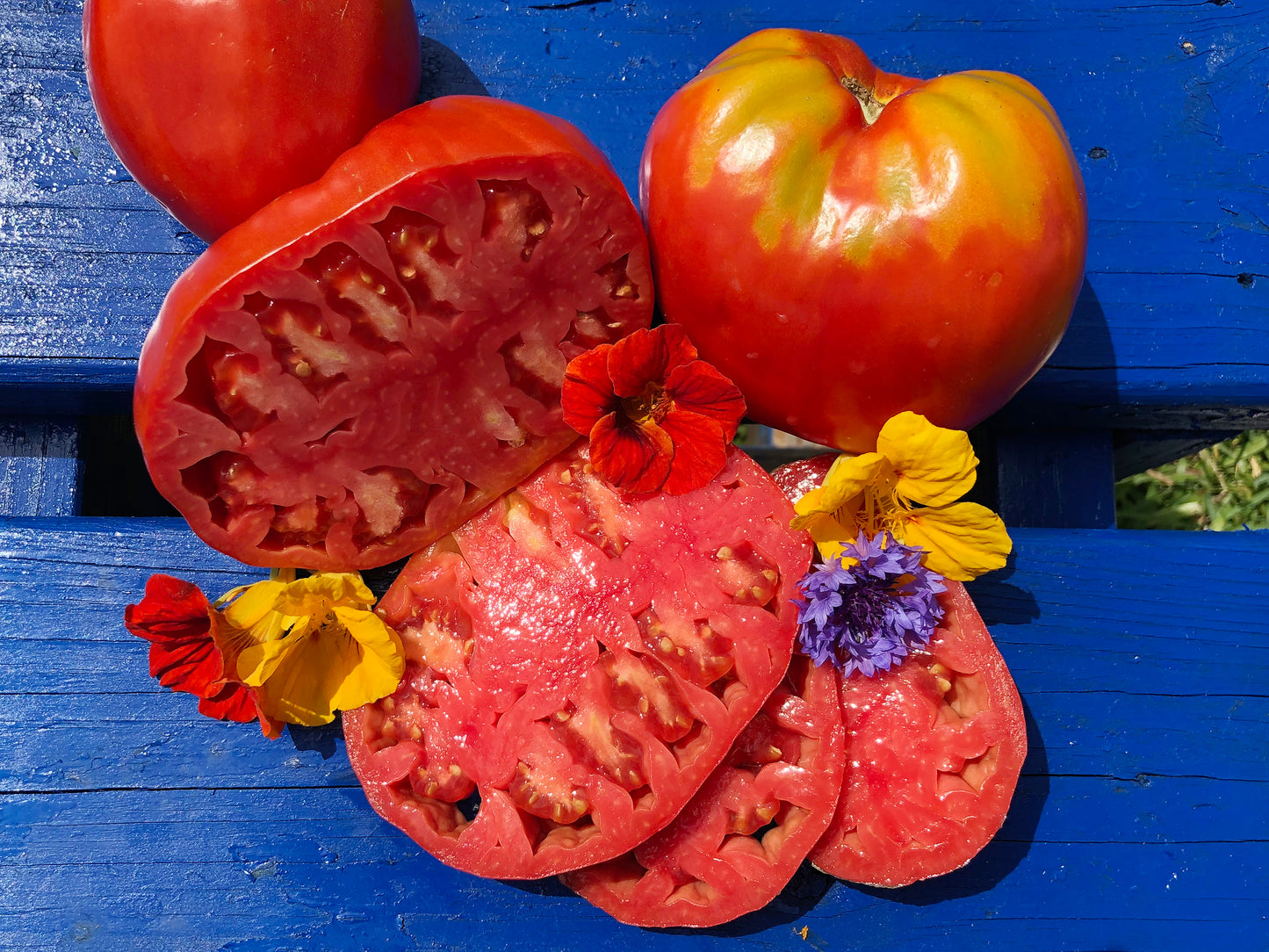 Pomodoro Cuore Antico di Acqui Terme Tomato