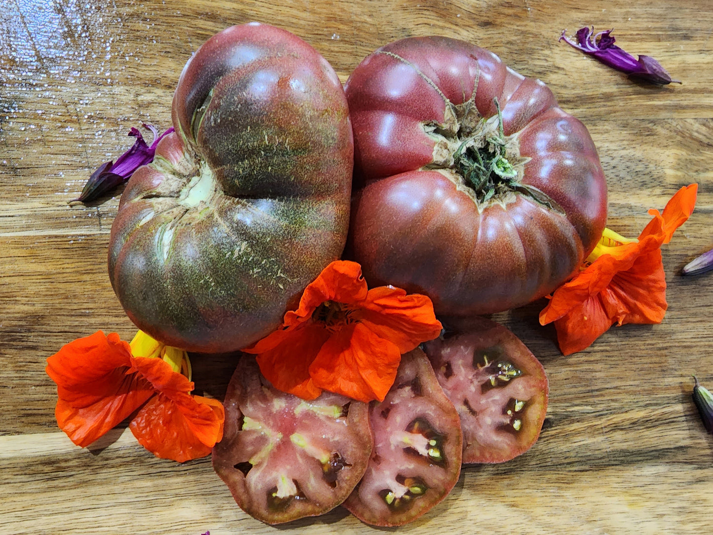 Dwarf Purple Reign Beefsteak Tomato