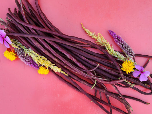 Red Noodle Yard Long Bean