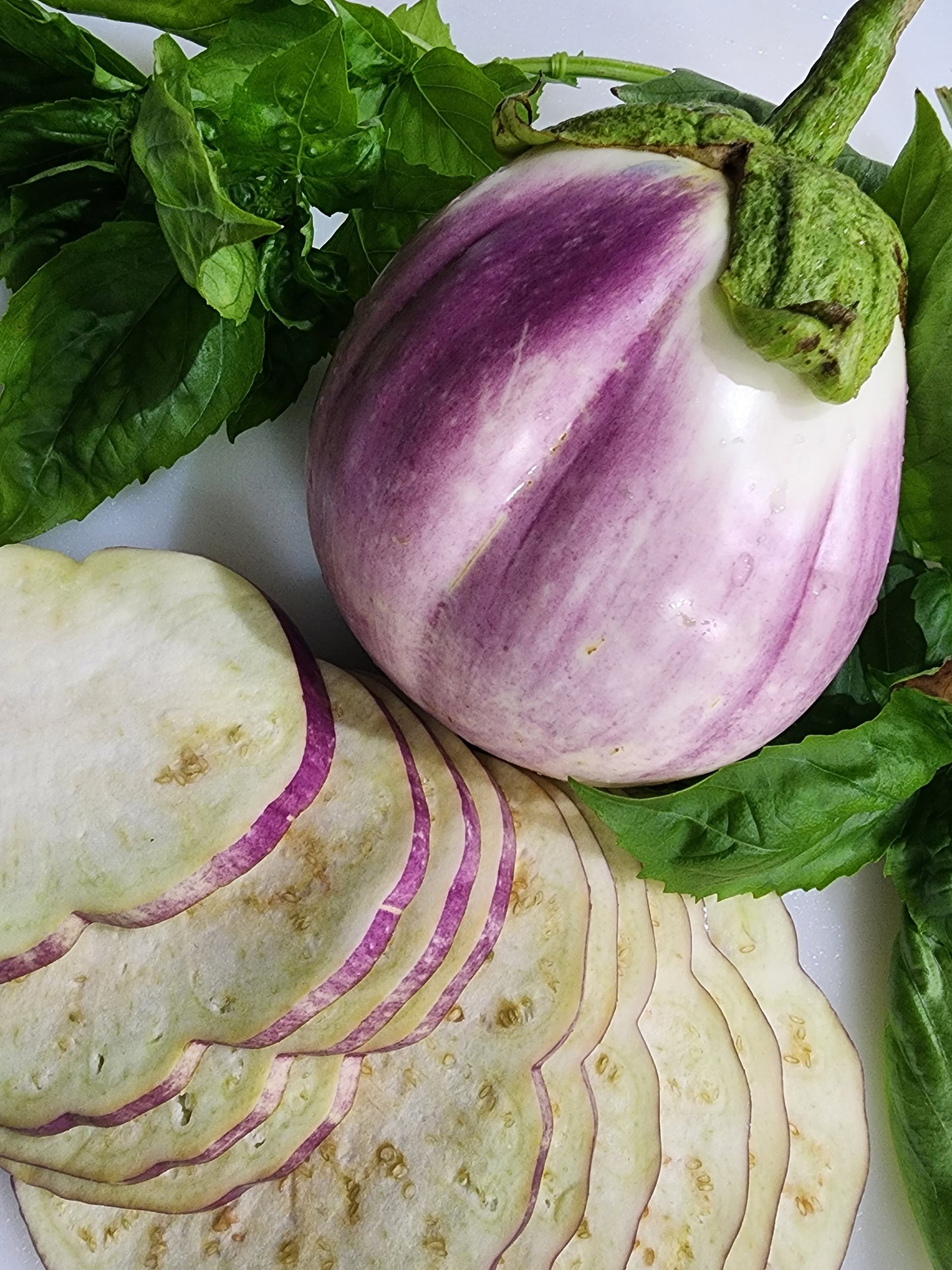 Rosa Bianca Eggplant