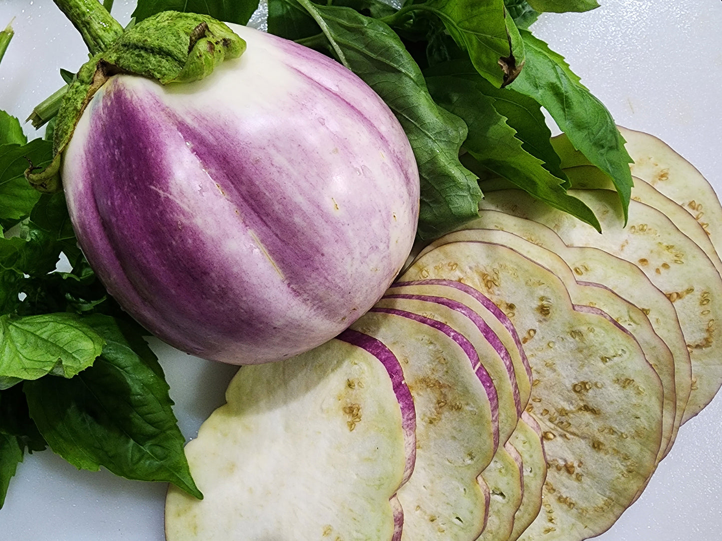 Rosa Bianca Eggplant