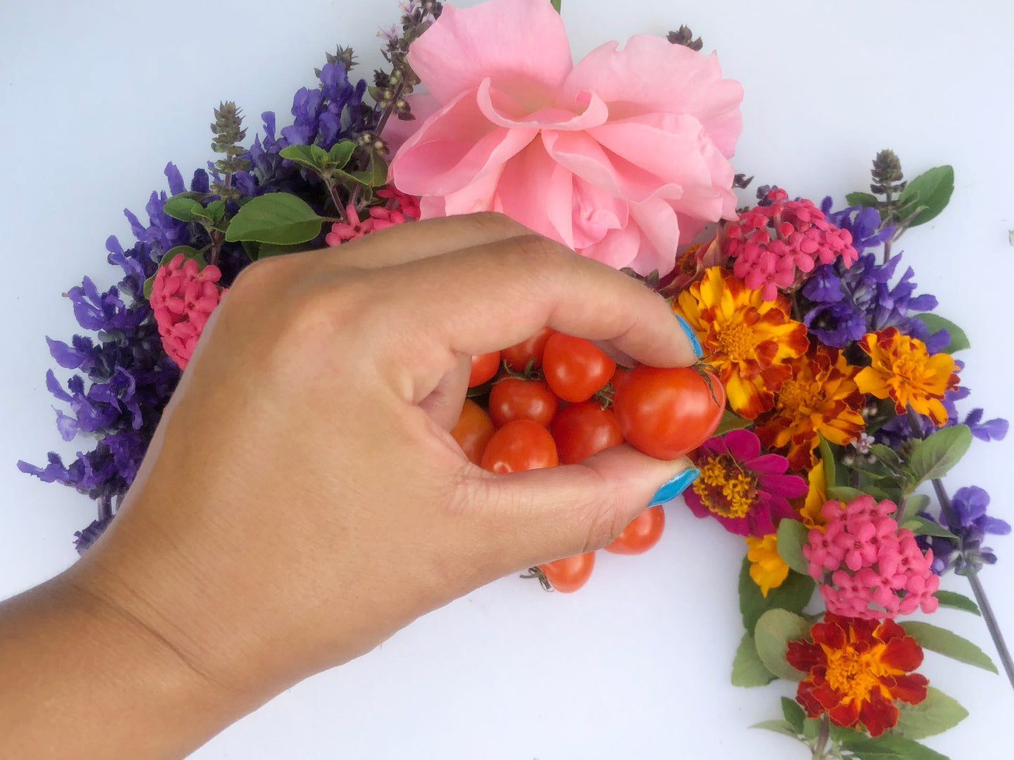 Sweetheart Cherry Tomato