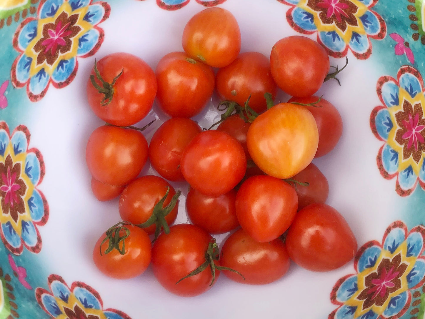 Sweetheart Cherry Tomato